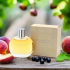 BURBERRY CLASSIC by Burberry Perfume for Women EDP 3.3 oz New In Box